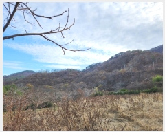  2022Ÿ5238 泲 û õ  108-5      (Ӿ)