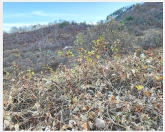  2022Ÿ5238 泲 û õ  108-5      (Ӿ)