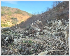  2022Ÿ5238 泲 û õ  108-5      (Ӿ)