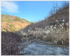  2022Ÿ5238 泲 û õ  108-5      (Ӿ)