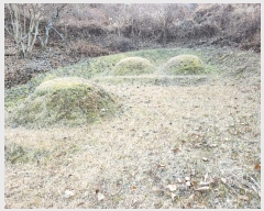  2022Ÿ5238 泲 û õ  108-5      (Ӿ)