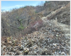  2022Ÿ5238 泲 û õ  108-5      (Ӿ)