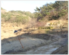  2022Ÿ��37075  ����