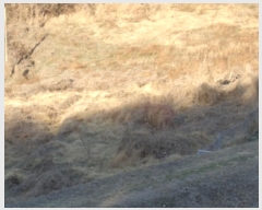  2022Ÿ��37075  ����