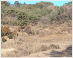  2022Ÿ��37075  ����