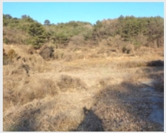  2022Ÿ��37075  ����