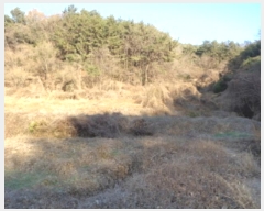  2022Ÿ��37075  ����