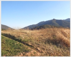  2022Ÿ��37075  ����