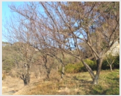  2022Ÿ��37075  ����