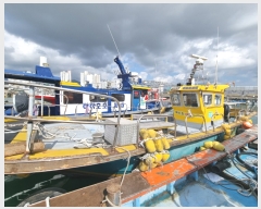  2022Ÿ��3287 (����) ���ر� ���ָ� ������       ���ڰ��