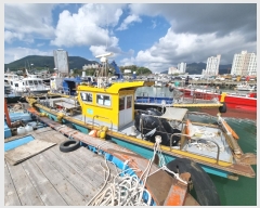  2022Ÿ��3287 (����) ���ر� ���ָ� ������       ���ڰ��