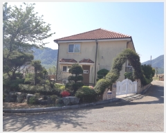  2022Ÿ��1239  ���ð��