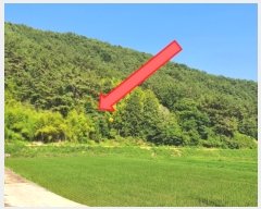  2022Ÿ��24188  ����