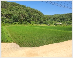  2022Ÿ��24188  ����