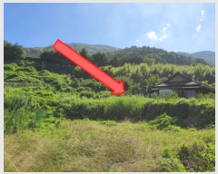  2022Ÿ��24188  ����