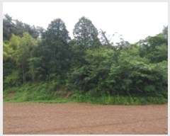  2022Ÿ��24188  ����