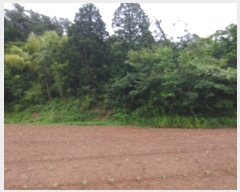  2022Ÿ��24188  ����