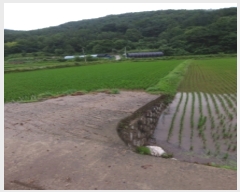  2022Ÿ��24188  ����