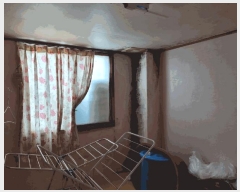  2022Ÿ25648 泲  û û 669-37      ٰð