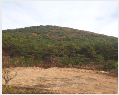  2022Ÿ27651 泲    221-4      (Ӿ)