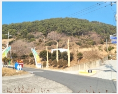  2022Ÿ��20223  �����