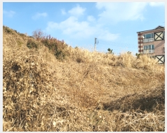  2022Ÿ��20223  �����