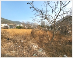  2022Ÿ��20223  �����