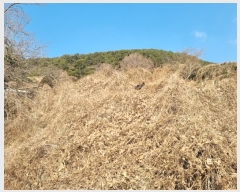  2022Ÿ��20223  �����