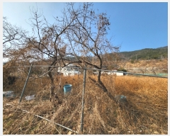  2022Ÿ��20223  �����