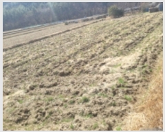  2022Ÿ335 泲  д и 435      ()