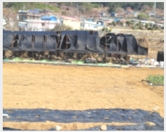  2022Ÿ335 泲  д и 435      ()