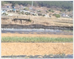  2022Ÿ335 泲  д и 435      ()