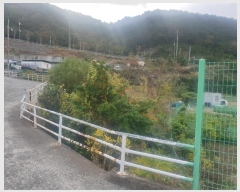  2022Ÿ��4207 �泲 ������ ������ 91       ����(��)���