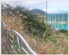  2022Ÿ��4207 �泲 ������ ������ 91       ����(��)���