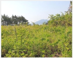  2022Ÿ��23635 �泲 �뿵�� ������ ������ 381      ����(��1)���