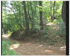  2022Ÿ��23635 �泲 �뿵�� ������ ������ 381      ����(��1)���