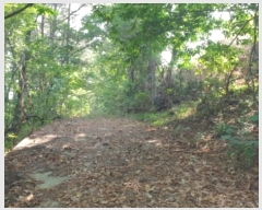  2022Ÿ��23635 �泲 �뿵�� ������ ������ 381      ����(��1)���