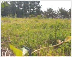  2022Ÿ��23635 �泲 �뿵�� ������ ������ 381      ����(��1)���