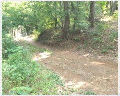  2022Ÿ��23635 �泲 �뿵�� ������ ������ 381      ����(��1)���