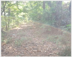  2022Ÿ��23635 �泲 �뿵�� ������ ������ 381      ����(��1)���