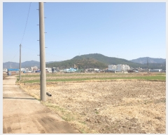  2022Ÿ��779  ����