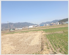  2022Ÿ��779  ����