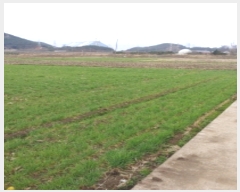  2022Ÿ��779  ����