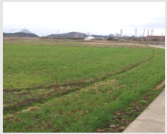  2022Ÿ��779  ����