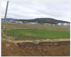  2022Ÿ��779  ����