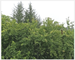  2022Ÿ��1997 �泲 �о�� �ϳ��� ��縮 65      ����(��)���