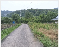  2022Ÿ��1997 �泲 �о�� �ϳ��� ��縮 65      ����(��)���