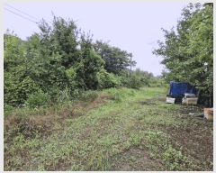  2022Ÿ��1997 �泲 �о�� �ϳ��� ��縮 65      ����(��)���