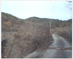  2022Ÿ��1997 �泲 �о�� �ϳ��� ��縮 65      ����(��)���