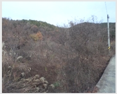  2022Ÿ��1997 �泲 �о�� �ϳ��� ��縮 65      ����(��)���